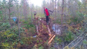 Protection and rewilding of natural landscapes