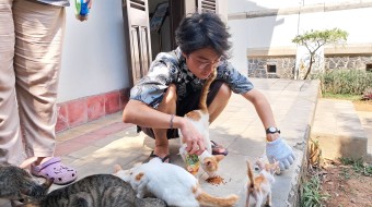 Star Paws Stray Cat Project