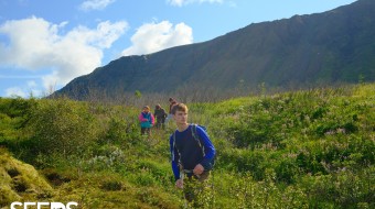 SEEDS 043. Hitting the Slopes - Blue Mountains - Bláfjöll