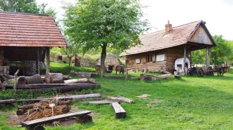 ESC Collect Herbs and Make Tea in Bile Karpaty
