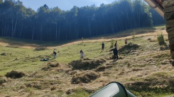 CHESTNUT FOREST PRESERVATION IN MISOX (SOAZZA GR)
