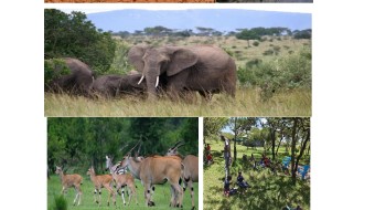 OLOISUKUT GROUP CONSERVANCY