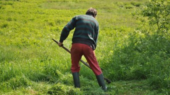 Wild & Cosy: Wetlands Glamping Weekend