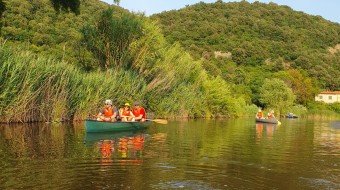 San Rossore Summer Between Biodiversity and History