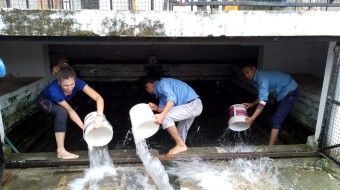 Heaalth & Sanitation