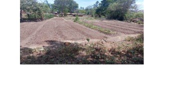 KENYA INSTITUTE OF ORGANIC FARMING