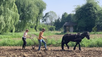 Eco Village Kleverbergh Erlecom