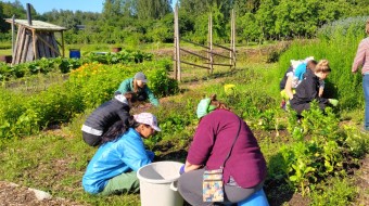 Gardening and connecting across social borders