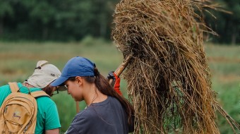 Discover Nature\'s Restoration - Help restore our natural landscapes (Drentsche AA).