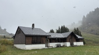 Maintain vitality of Alpine biodiversity (Villars-sur-Ollon VD)