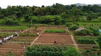 IMMERSION AT THE GAVISA BIODYNAMIC FARM