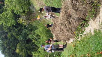 Nature, not Nationalism - Protecting Alpine Forests responsibily