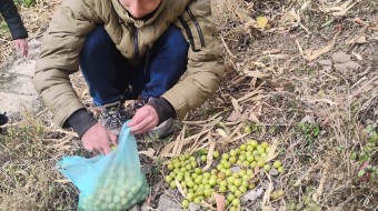 Natural Farming