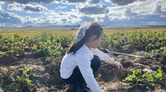 Harvest