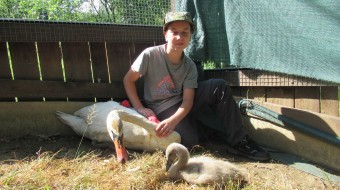 Guardians of Wildlife for FAMILY workcamps