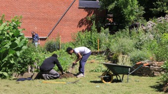 Local Green Action